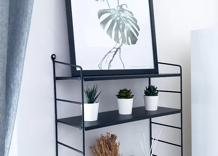 Lovely Near The Centre Daire